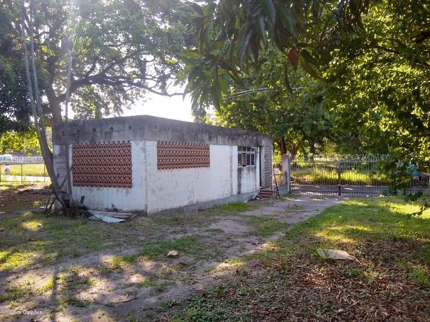 Imagem 33 - 32059277