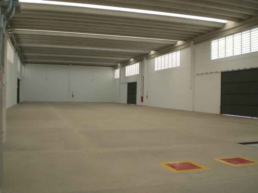 Imagem 13 - 74259514