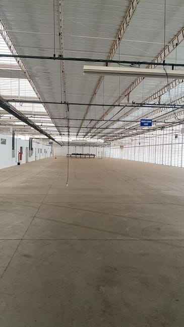 Imagem 12 - 35007670