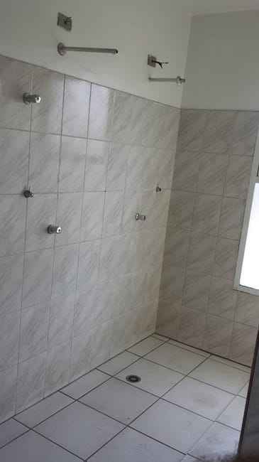 Imagem 42 - 74260415