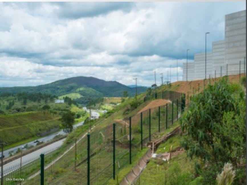 Imagem 12 - 73755387