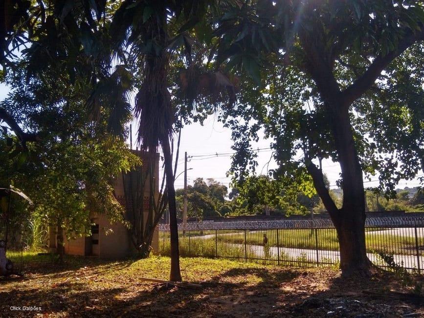 Imagem 29 - 32059277