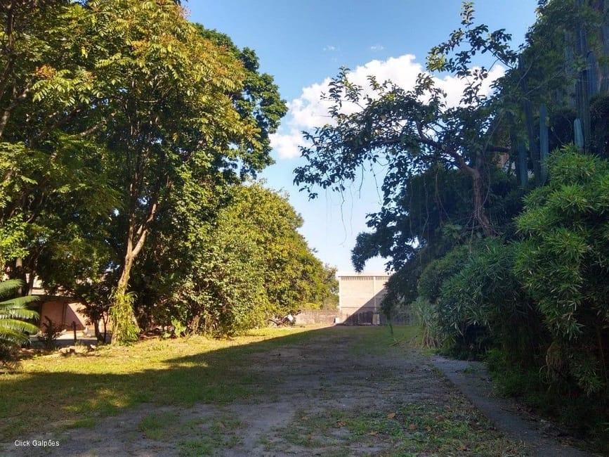 Imagem 32 - 32059277