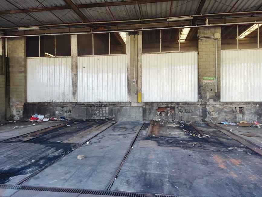 Imagem 13 - 74260325