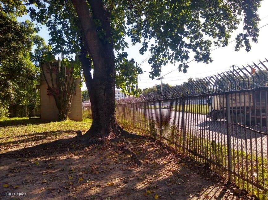 Imagem 34 - 32059277