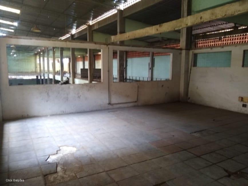 Imagem 19 - 32059277