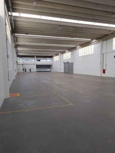 Imagem 17 - 74259514