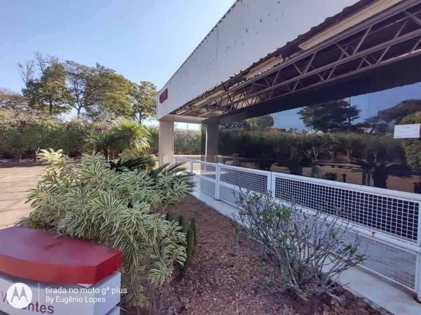 Imagem 19 - 71149589