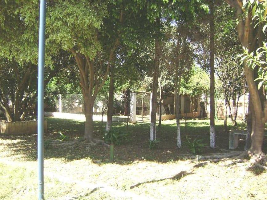 Imagem 13 - 32059331