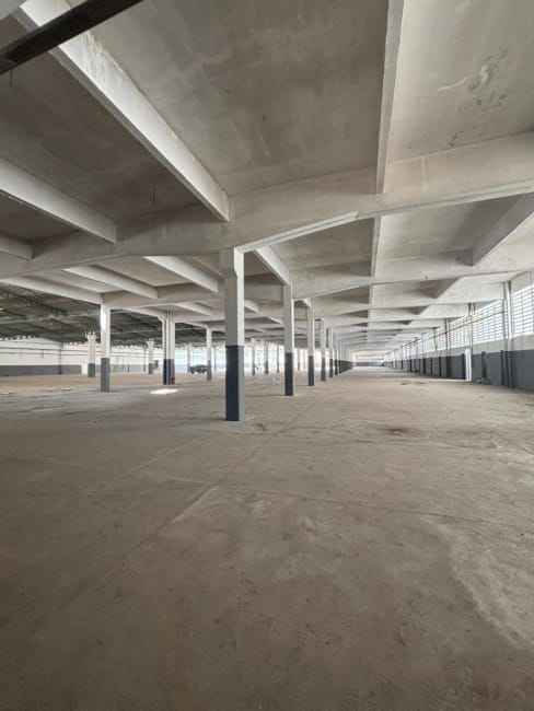 Imagem 11 - 75237381