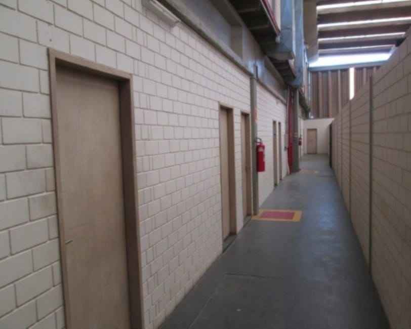 Imagem 44 - 32059016