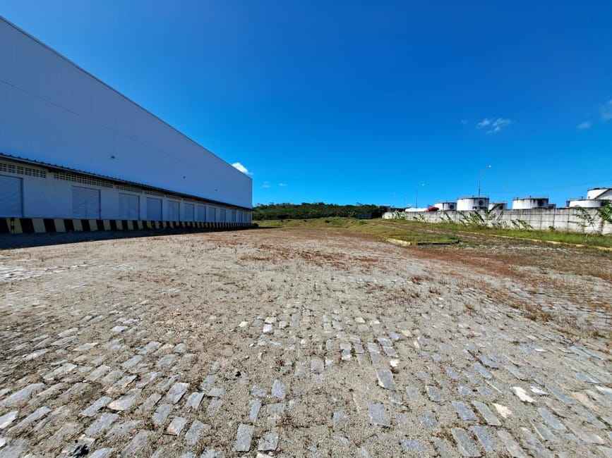 Imagem 13 - 35006701