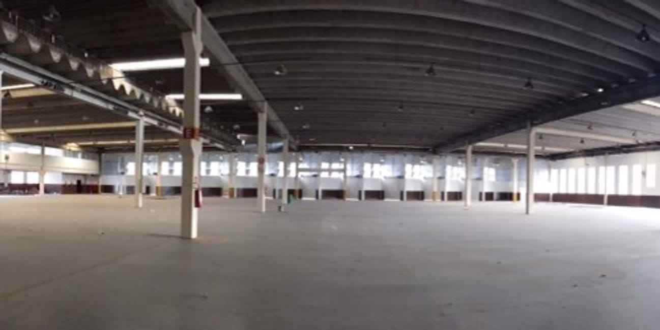 Imagem 12 - 35000774