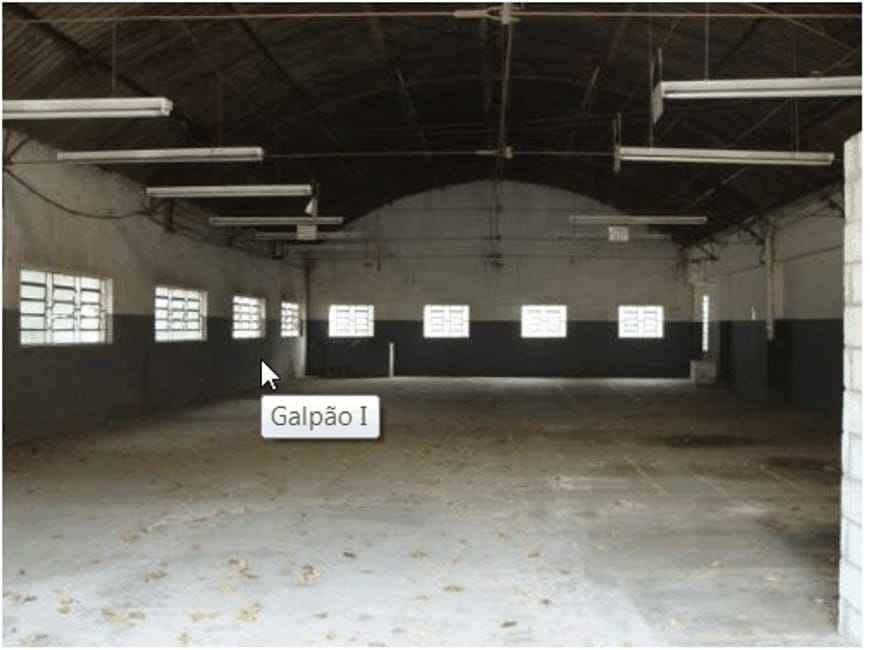 Imagem 14 - 74259625