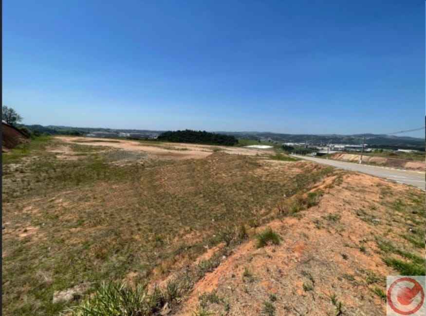 Imagem 13 - 74040078