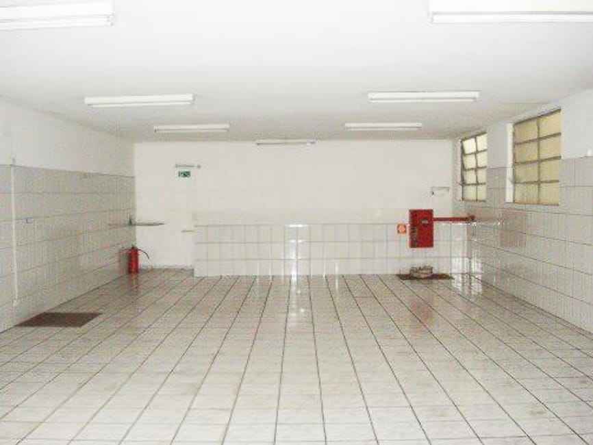 Imagem 20 - 35007059