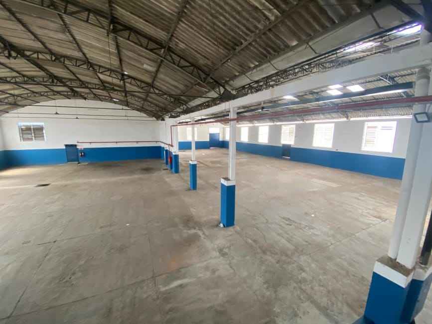 Imagem 12 - 35006773