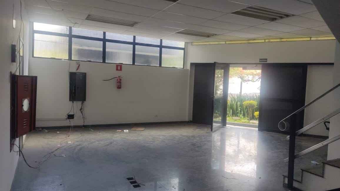 Imagem 13 - 73839084