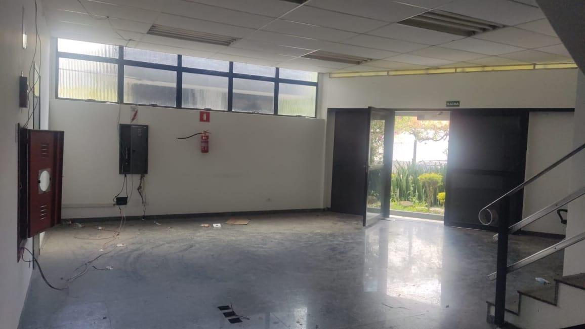 Imagem 13 - 73839084