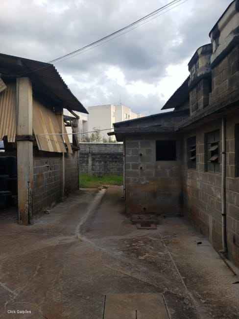 Imagem 15 - 70794573