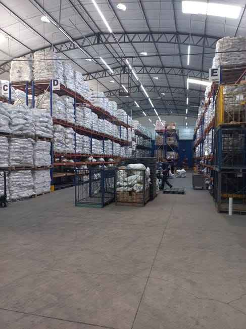 Imagem 14 - 73619824