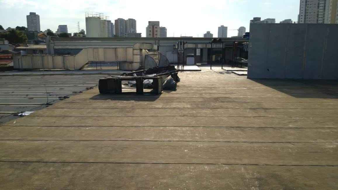 Imagem 13 - 71015758