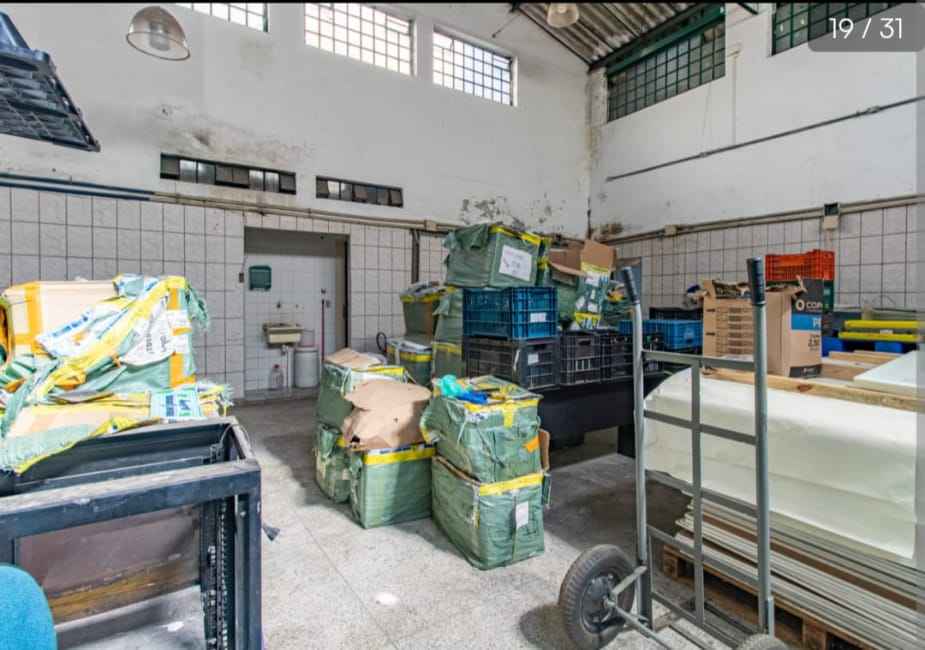 Imagem 25 - 35008288