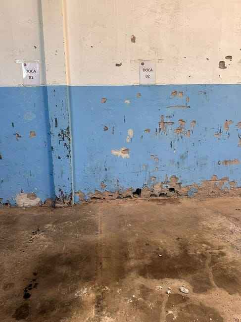 Imagem 34 - 35009832