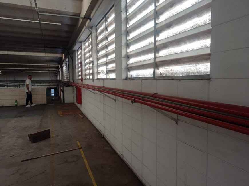 Imagem 13 - 35007131