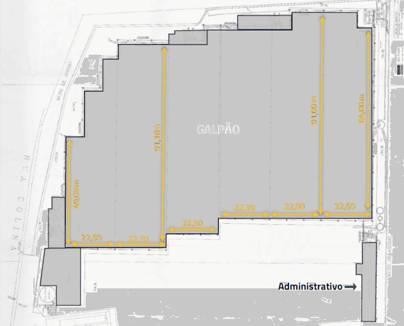 Imagem 17 - 74260223