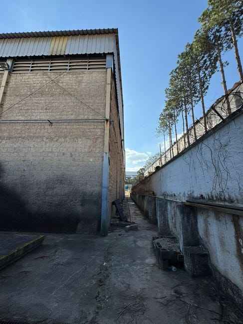 Imagem 10 - 35007236