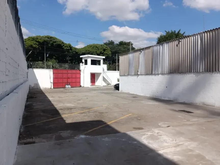 Imagem 10 - 35007937