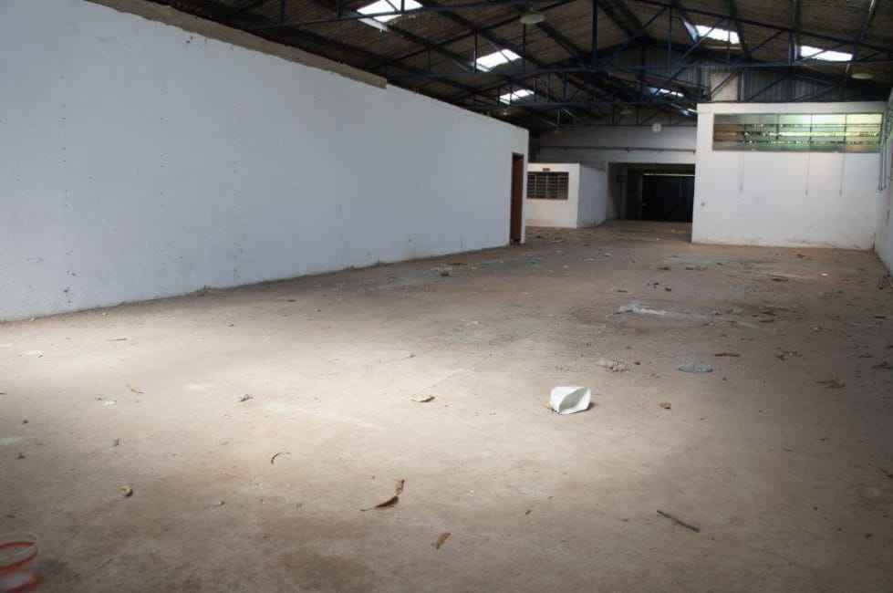 Imagem 15 - 33186729