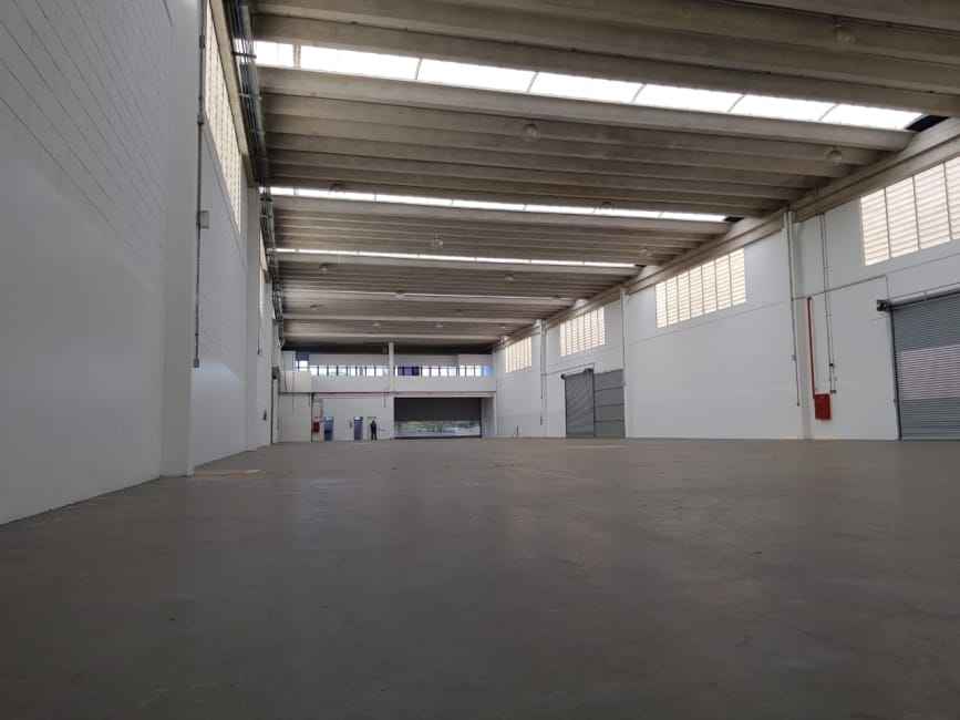 Imagem 16 - 74259514