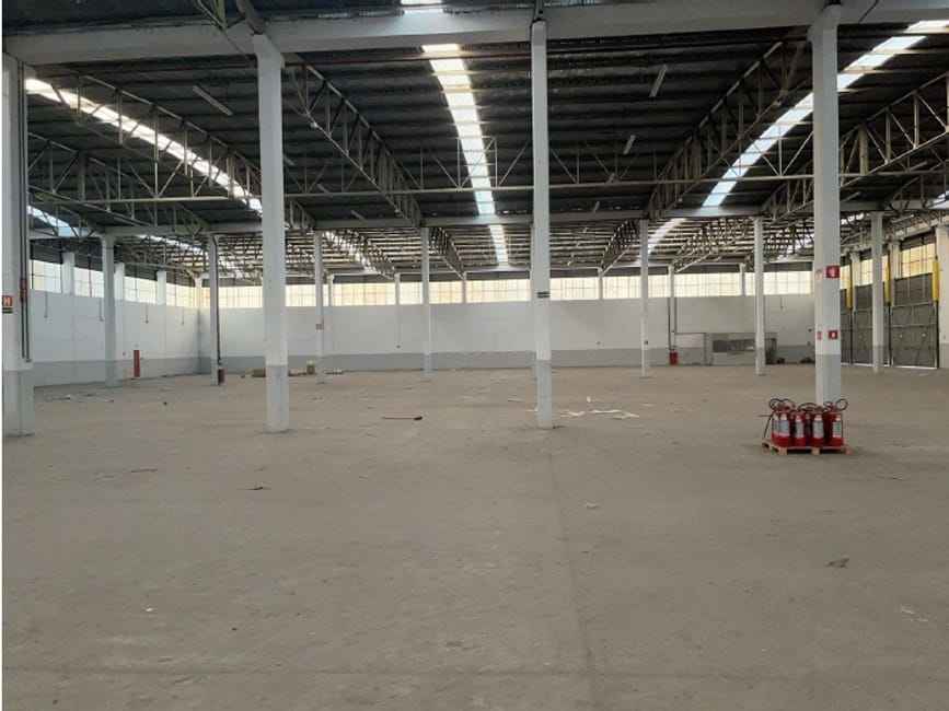 Imagem 106 - 73658199