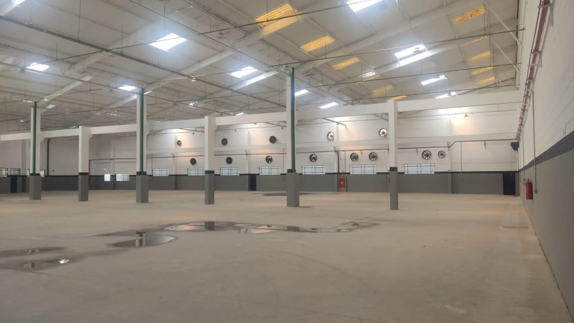 Imagem 10 - 73839084