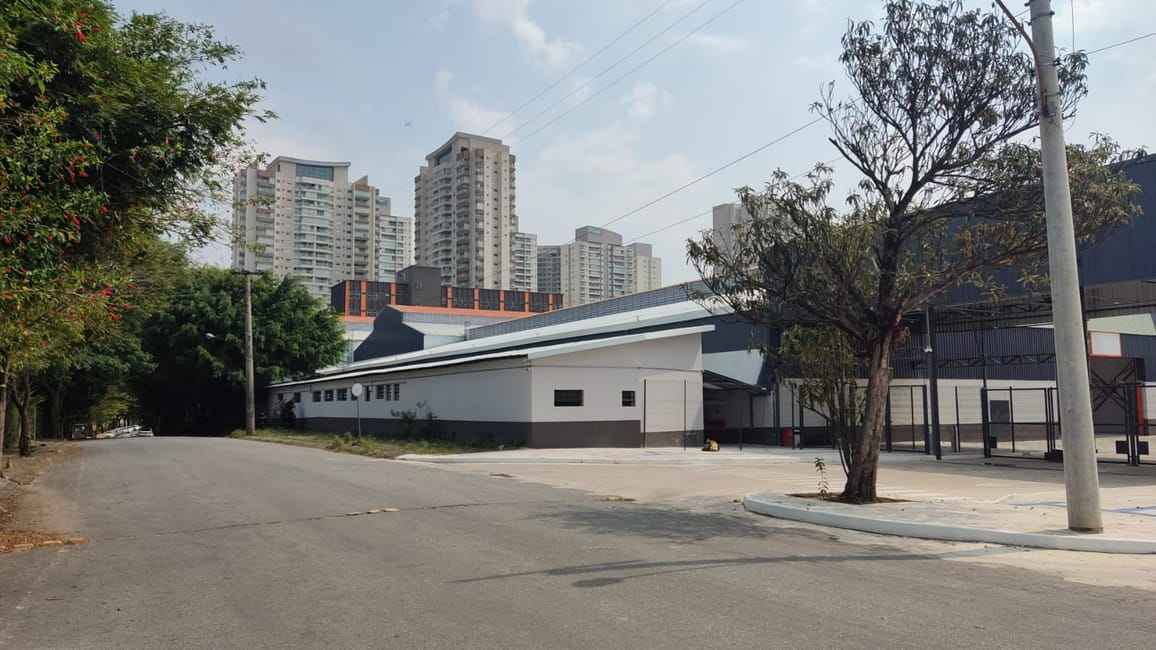 Imagem 11 - 70447033