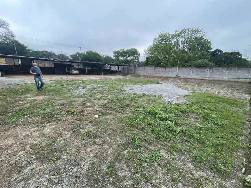 Imagem 16 - 72532322