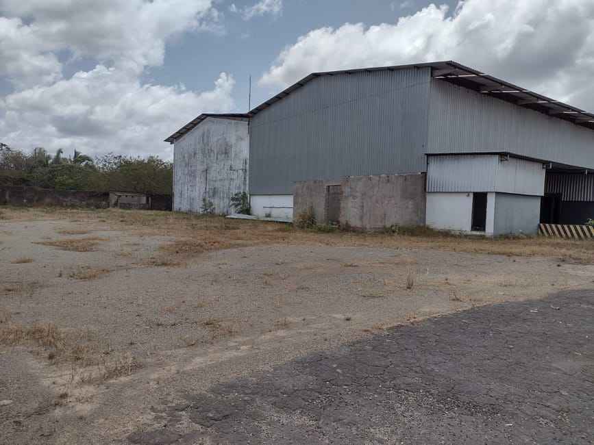 Imagem 13 - 35006606