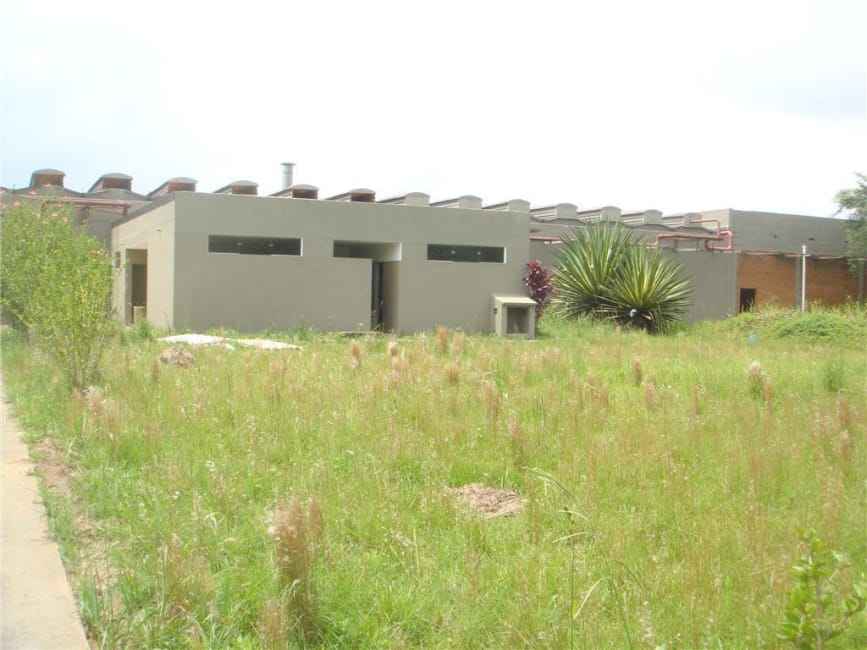 Imagem 14 - 74808694