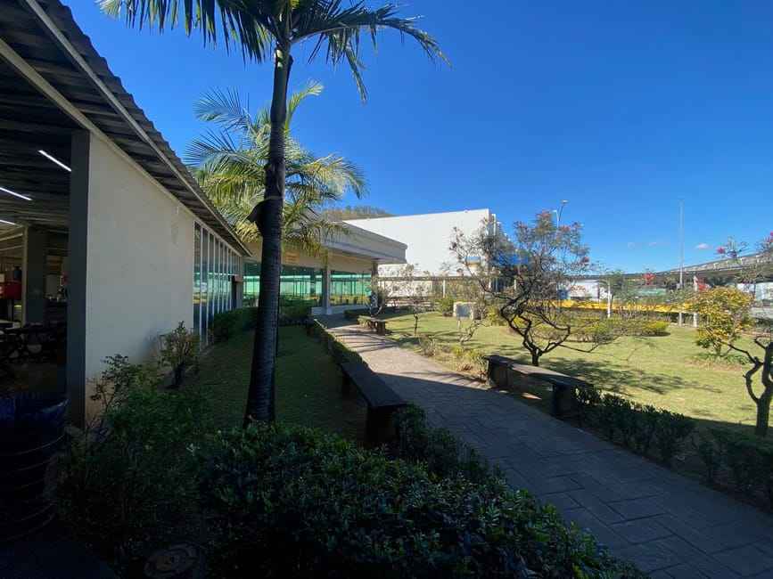 Imagem 22 - 32058687