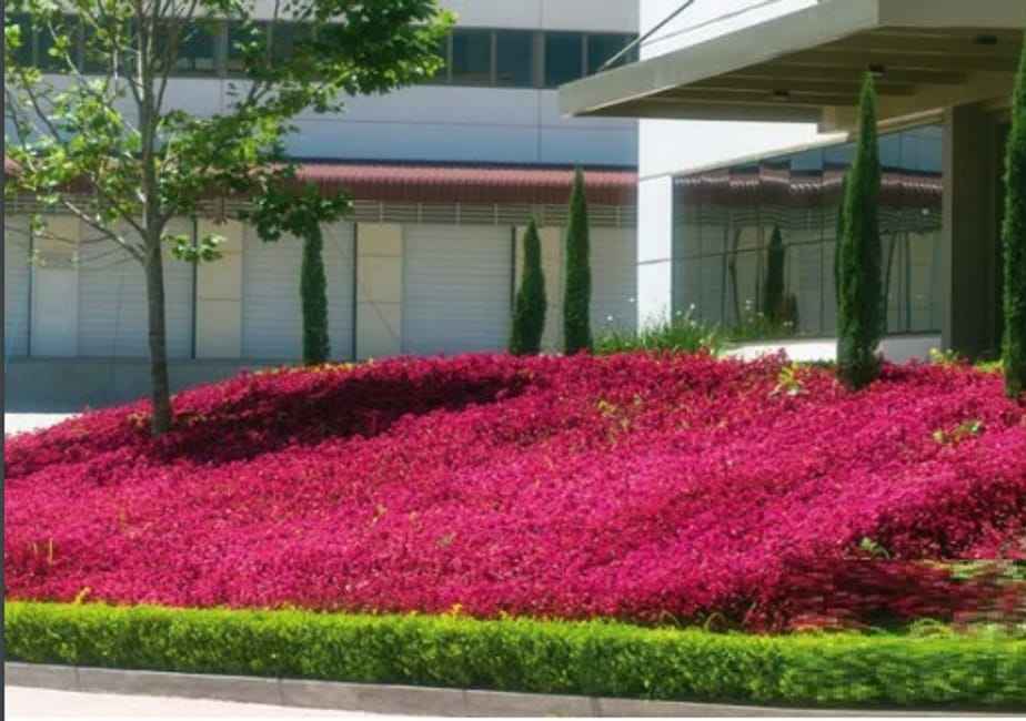 Imagem 19 - 35005399