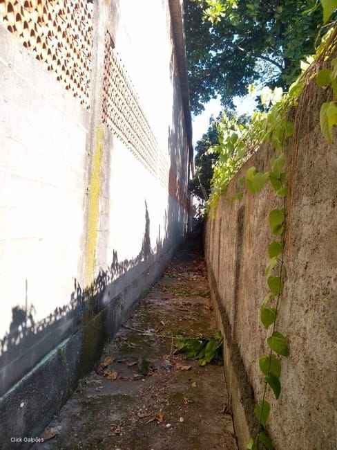 Imagem 52 - 32059277