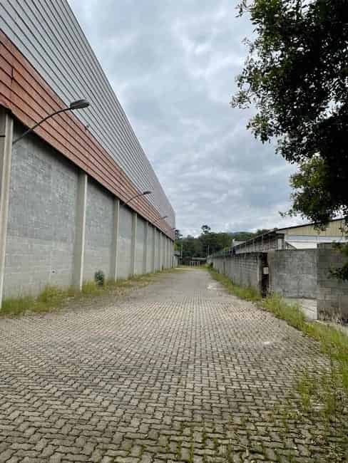 Imagem 8 - 74205315