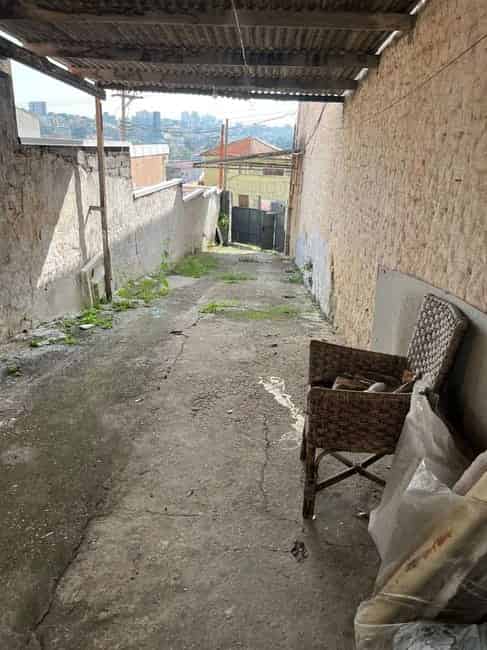 Imagem 4 - 35008343