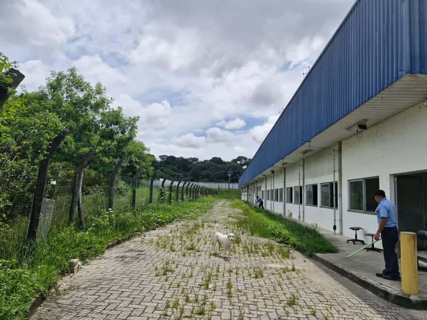 Galpão em Manaus / AM — foto 12