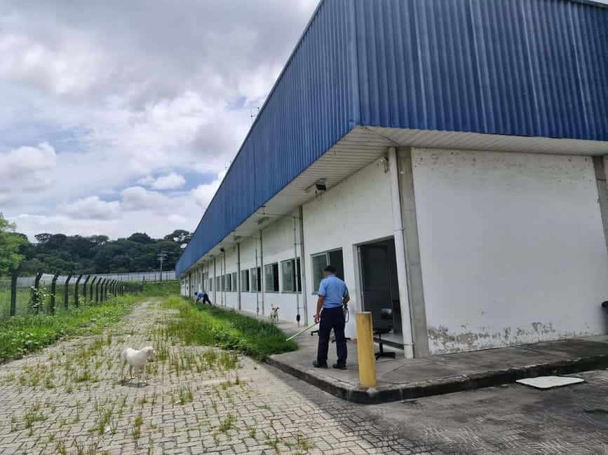 Galpão em Manaus / AM — foto 11