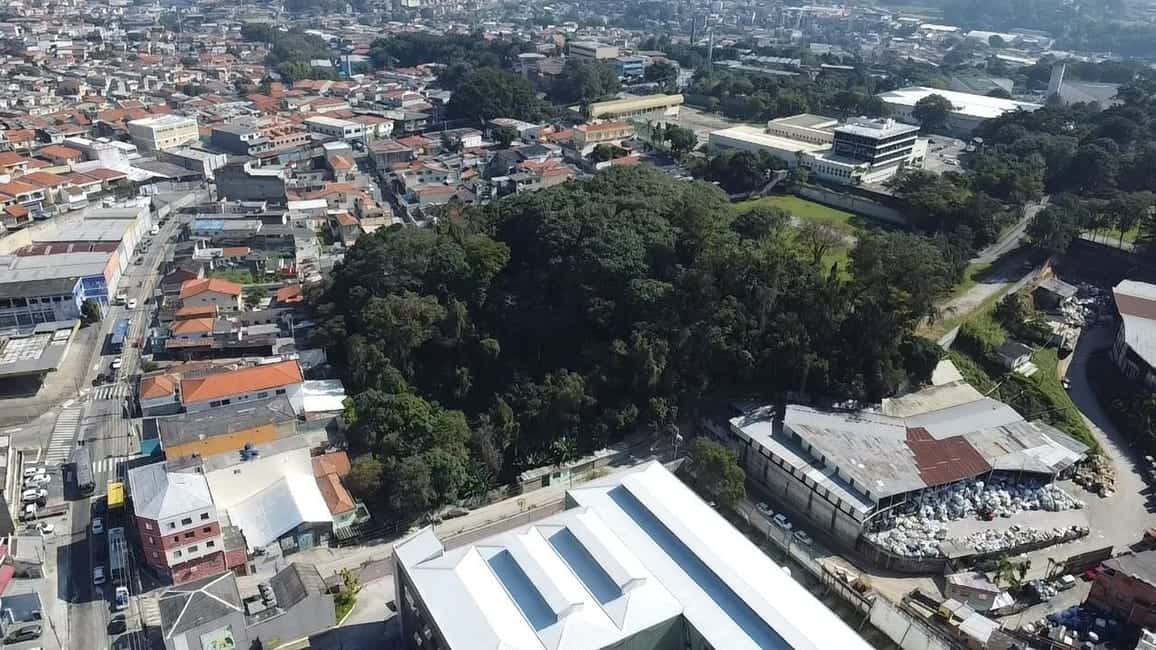 Galpão em São Paulo / SP — foto 5