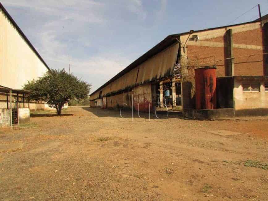 Imagem 2 - 74260760