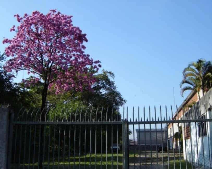 Imagem 45 - 32059277